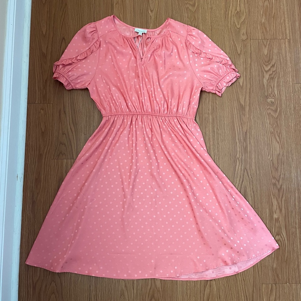 NWT Chenault pink dress